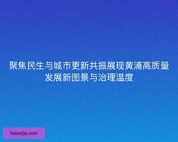 聚焦民生与城市更新共振展现黄浦高质量发展新图景与治理温度